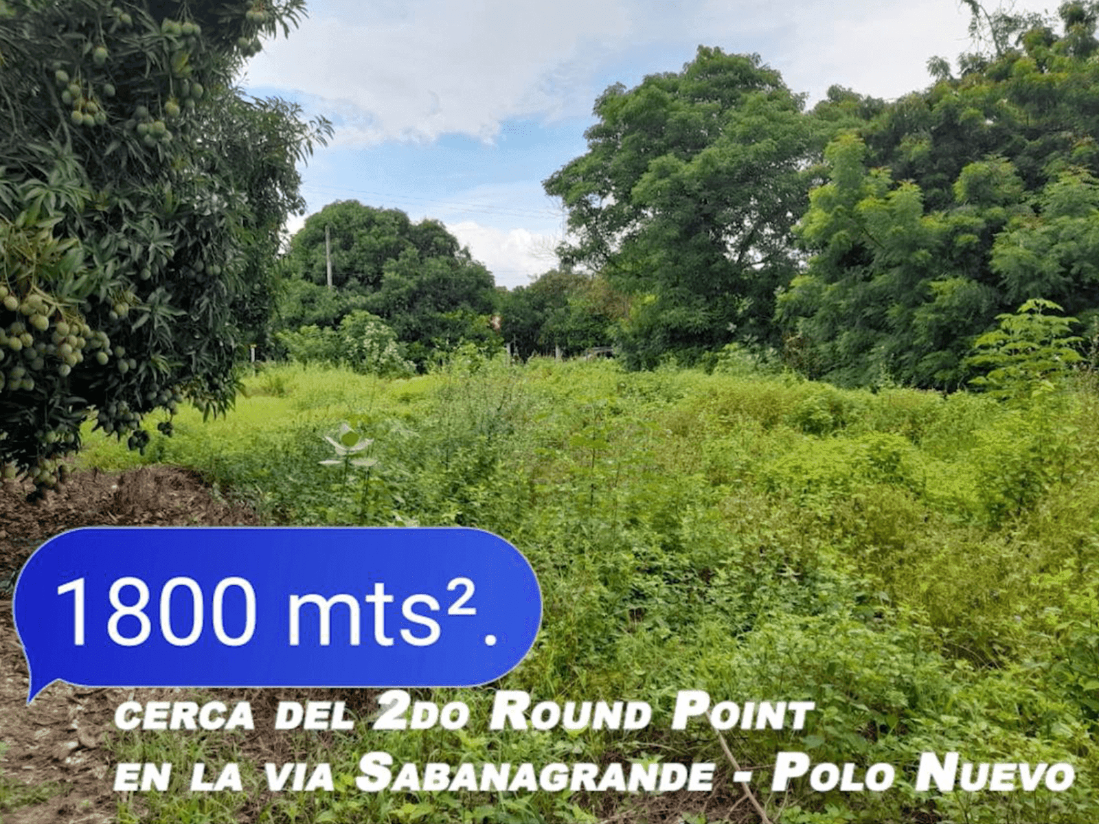 Lote en vía Sabanalarga